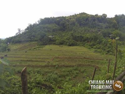 3-days/2-nights Trekking Tour | Chiang Mai Trekking | Le meilleur trekking à Chiang Mai avec Piroon Nantaya